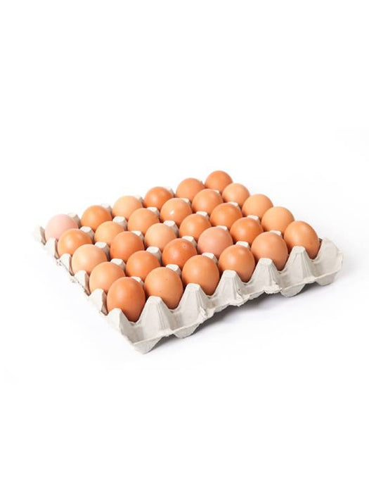 Grade B Eggs - 1 Tray