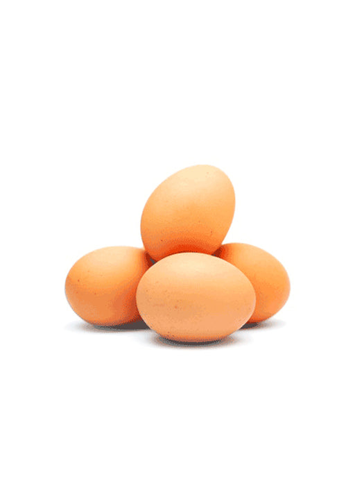 Grade B Eggs
