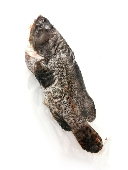 Dragon Grouper Fish 龍虎斑