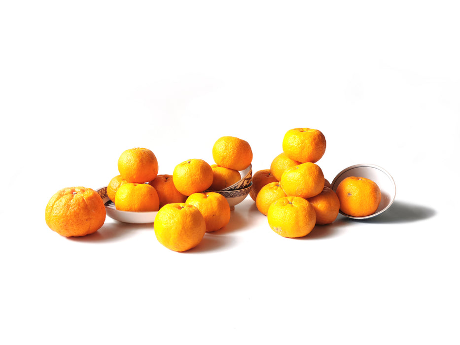 Mandarin Oranges XL