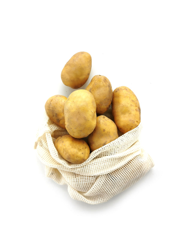Holland Chinese Potato 馬鈴薯