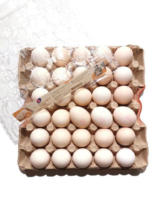 Grass Fed Chicken Eggs / Macao Egg 馬草蛋