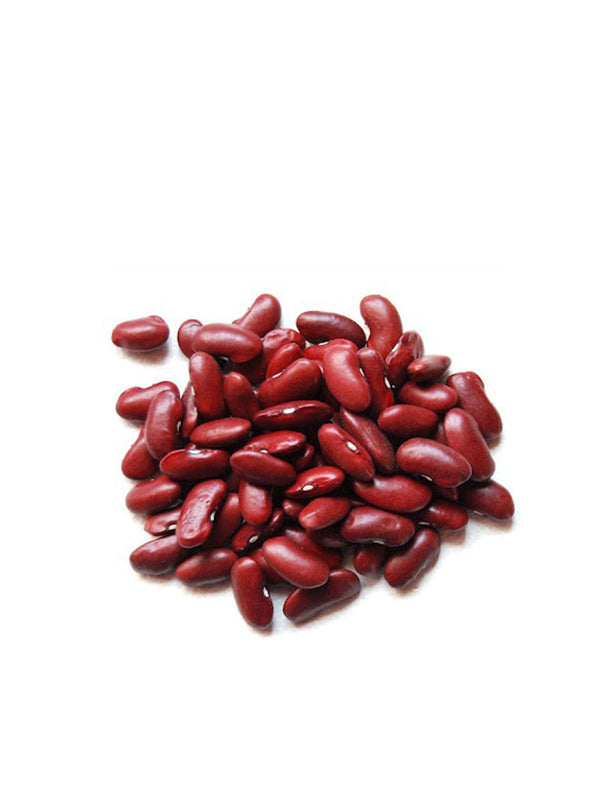Kidney Bean 大紅腰豆