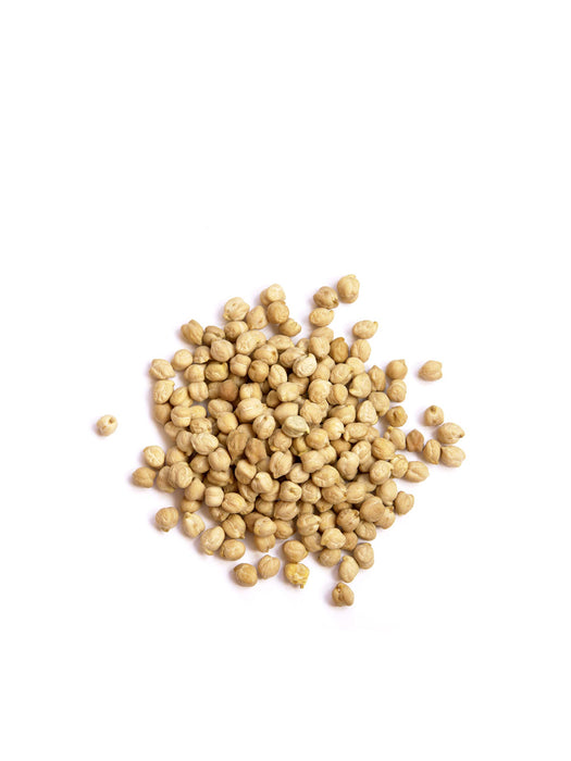 Chickpea 馬豆
