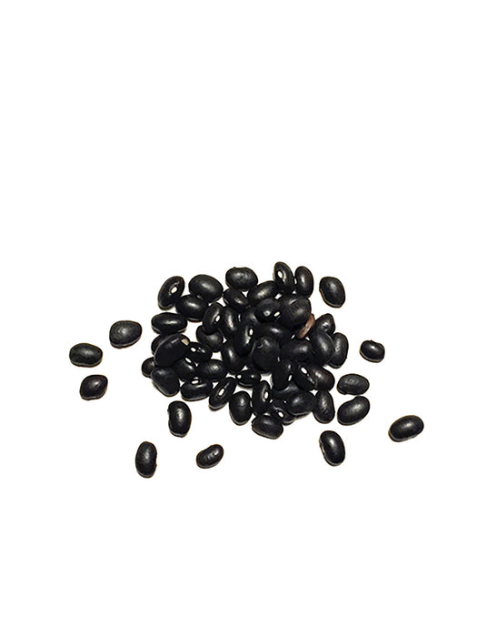 Black Bean 黑豆