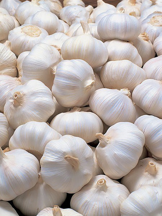 White Garlic 白蒜